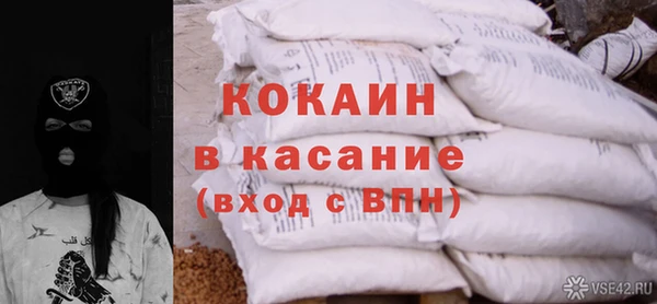 шишки Корсаков
