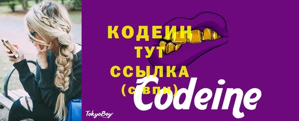 соль ск Костерёво