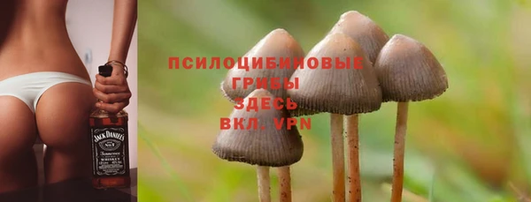 MDMA Козельск
