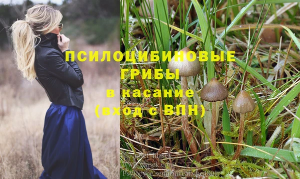 ПСИЛОЦИБИНОВЫЕ ГРИБЫ Кодинск