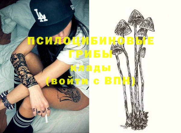 ПСИЛОЦИБИНОВЫЕ ГРИБЫ Кодинск