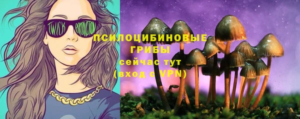 MDMA Козельск