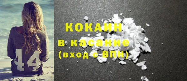 шишки Корсаков