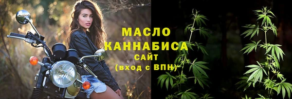 шишки Корсаков