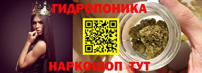 сатива Гагарин