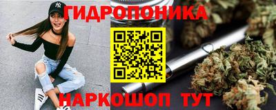 сатива Гагарин