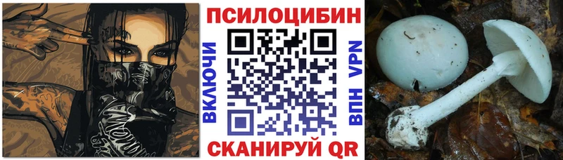 купить наркоту mega онион Псилоцибиновые грибы мухоморы Новодвинск