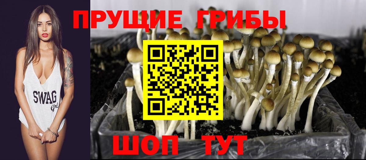 Псилоцибиновые грибы MAGIC MUSHROOMS  Вход с VPN  Новодвинск  Галлюциногенные грибы Magic Shrooms 