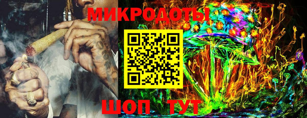 МЕФ Новодвинск